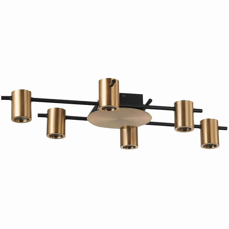 Потолочный светильник Aigle Ceiling Light 6 Черный Латунь Потолочный светильник Aigle Ceiling Light 6 Черный Латунь в Тюмени | Loft Concept