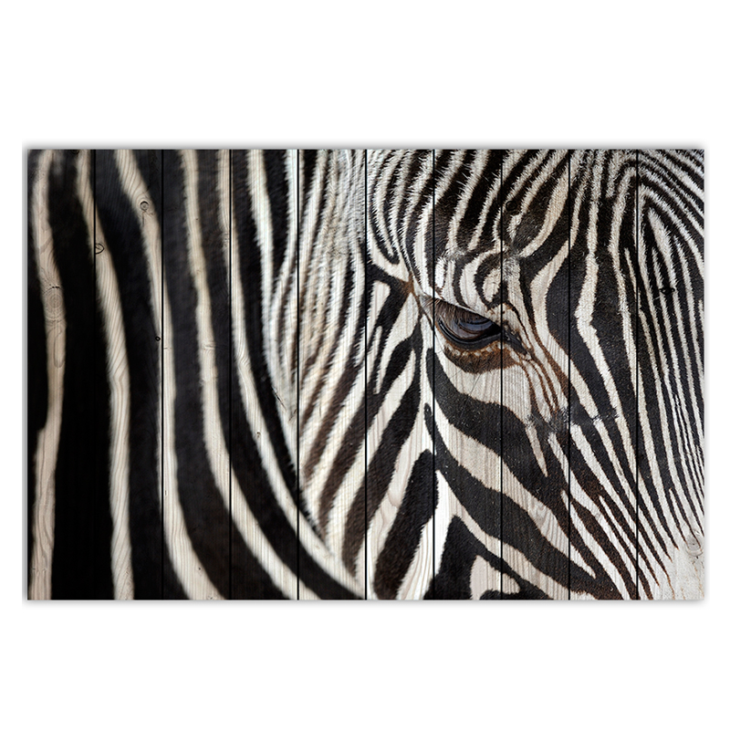 Постер Zebra Постер Zebra в Тюмени | Loft Concept