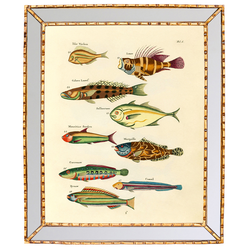 Постер в зеркальной раме Fish Guide 2 Мульти Золотой Постер в зеркальной раме Fish Guide 2 Мульти Золотой в Тюмени | Loft Concept
