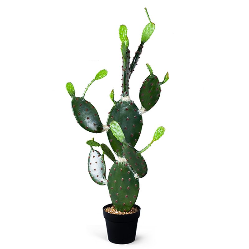 Декоративный искусственный цветок Opuntia Cactus Зеленый Декоративный искусственный цветок Opuntia Cactus Зеленый в Тюмени | Loft Concept
