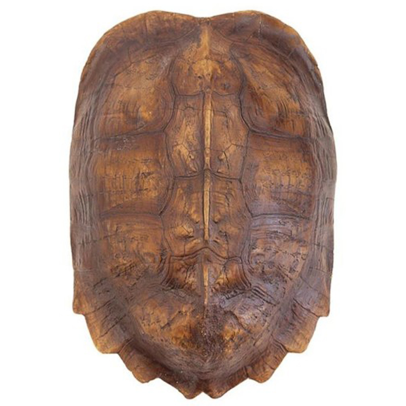 Аксессуар Turtle Shell Natural Light Brown Коричневый Аксессуар Turtle Shell Natural Light Brown Коричневый в Тюмени | Loft Concept