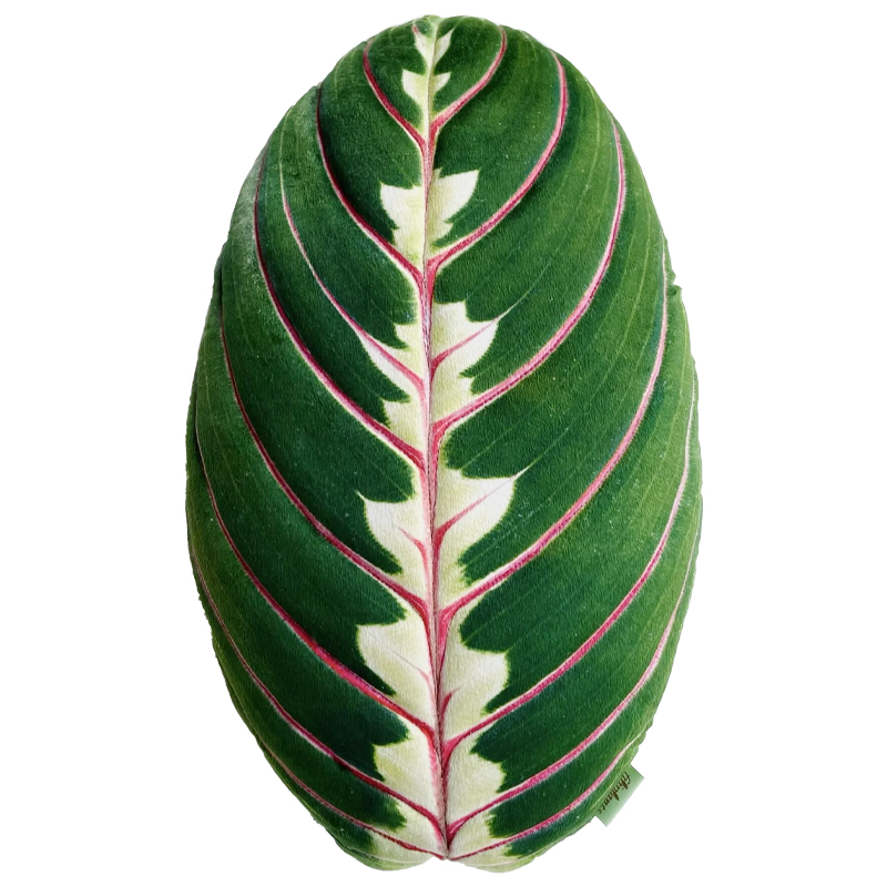 Декоративная подушка Botanical Cushion Maranta Trikolor Зеленый Бургундский красный Декоративная подушка Botanical Cushion Maranta Trikolor Зеленый Бургундский красный в Тюмени | Loft Concept