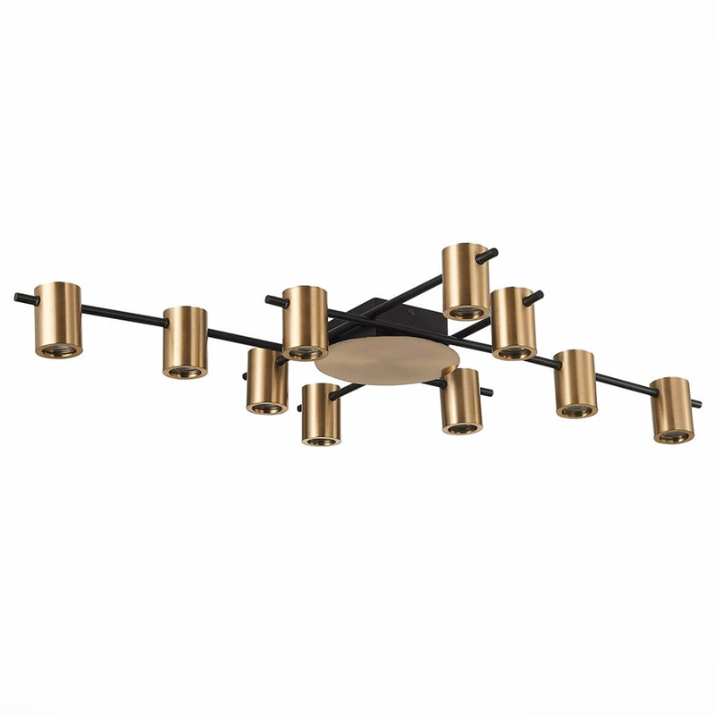 Потолочный светильник Aigle Ceiling Light 10 Черный Латунь Потолочный светильник Aigle Ceiling Light 10 Черный Латунь в Тюмени | Loft Concept