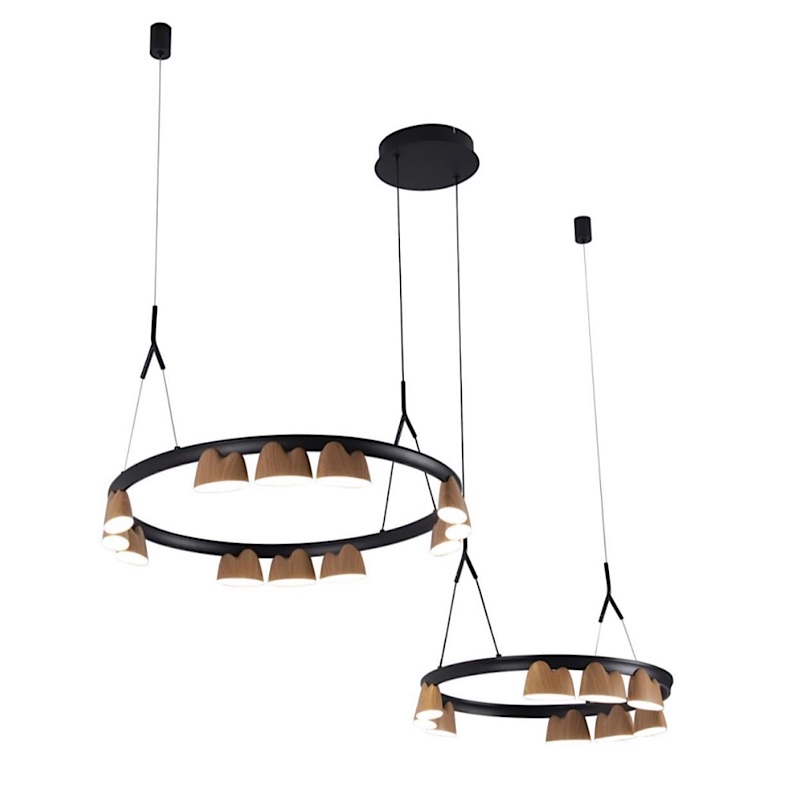 Люстра Wooden Eco Light Черный матовый Люстра Wooden Eco Light Черный матовый в Тюмени | Loft Concept