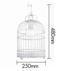 Подвесной светильник Bird Cage Подвесной светильник Bird Cage в Тюмени