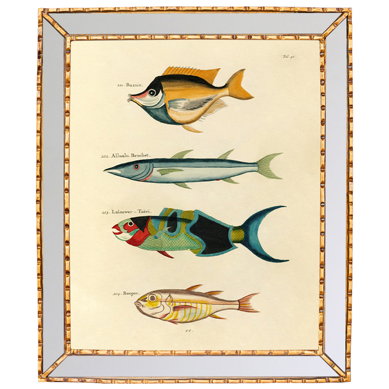 Постер в зеркальной раме Fish Guide 3 Мульти Золотой Постер в зеркальной раме Fish Guide 3 Мульти Золотой в Тюмени | Loft Concept