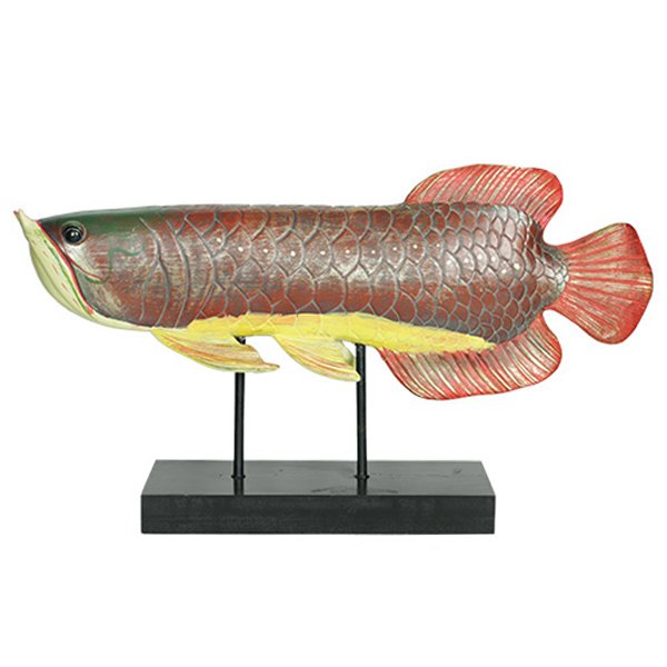 Аксессуар для интерьера рыба Colored Fish Аксессуар для интерьера рыба Colored Fish в Тюмени | Loft Concept