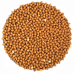 Панно «Gold Star» варинант исполнения - 1 | Loft Concept в Тюмени