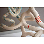 Скульптура «Papañca» варинант исполнения - 3 | Loft Concept в Тюмени