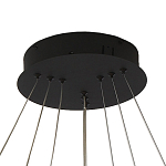 Люстра светодиодная с 3-мя плафонами в форме колец из акрила и алюминия с пультом для регулировки света Ring Horizontal Anthracite варинант исполнения - 5 | Loft Concept в Тюмени