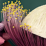 Статуэтка фантастический фрукт Exotic Tropical Fruit orange and white 67 варинант исполнения - 2 | Loft Concept в Тюмени