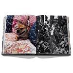 Книга подарочная Смелый бразильский стиль Сиг Бергамина Assouline Maximalism by Sig Bergamin варинант исполнения - 9 | Loft Concept в Тюмени