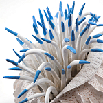 Статуэтка тропический фрукт Tropical Fruit White Blue варинант исполнения - 1 | Loft Concept в Тюмени