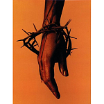 Подарочная книга величайший фотограф Альберт Уотсон The Vienna album Albert Watson варинант исполнения - 4 | Loft Concept в Тюмени