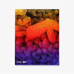 Редкое подарочное издание Yayoi Kusama: 1945 to Now варинант исполнения - 3 | Loft Concept в Тюмени