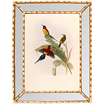 Постер с изображением птиц и цветов в зеркальной раме Blooming Birds Poster варинант исполнения - 4 | Loft Concept в Тюмени