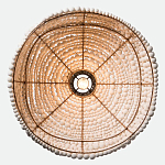 Подвесной светильник в виде купола декорированный белыми деревянными бусинами White Wooden Beads Hanging Lamp варинант исполнения - 4 | Loft Concept в Тюмени