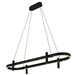 Люстра подвесная овальная черная  Black Light Fixtures варинант исполнения - 1 | Loft Concept в Тюмени