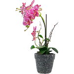 Декоративный искусственное растение Pink orchid варинант исполнения - 4 | Loft Concept в Тюмени