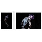 Монография художника Tavares Strachan - There is Light Somewhere варинант исполнения - 6 | Loft Concept в Тюмени