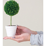 Декоративный искусственное растение Boxwood One варинант исполнения - 6 | Loft Concept в Тюмени