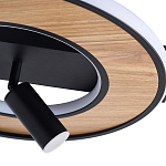 Потолочный светильник круглый GAVIN WOOD варинант исполнения - 2 | Loft Concept в Тюмени