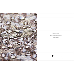 Книга Maison Lesage: Haute Couture Embroidery Mauries Patrick варинант исполнения - 11 | Loft Concept в Тюмени