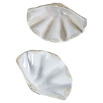 Фигурка из фарфора в виде одной створки ракушки Marine Tridacna варинант исполнения - 3 | Loft Concept в Тюмени