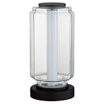 Настольная лампа с прозрачным плафоном Jarrty варинант исполнения - 1 | Loft Concept в Тюмени