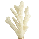 Статуэтка Stand Coral варинант исполнения - 2 | Loft Concept в Тюмени