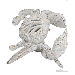 Статуэтка краб с детализированной текстурой в белом цвете Marine Accessories варинант исполнения - 4 | Loft Concept в Тюмени