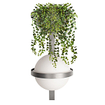 Бра Benedict Dark grey варинант исполнения - 1 | Loft Concept в Тюмени