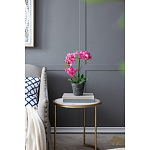 Декоративный искусственное растение Pink orchid варинант исполнения - 8 | Loft Concept в Тюмени