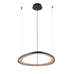 Люстра светодиодная  Iris варинант исполнения - 2 | Loft Concept в Тюмени