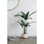 Декоративный искусственное растение Decor Stile  варинант исполнения - 7 | Loft Concept в Тюмени