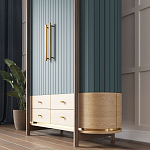 Шкаф «Гавайи» варинант исполнения - 2 | Loft Concept в Тюмени