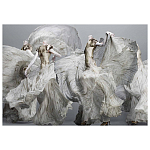 Alexander McQueen: Savage Beauty варинант исполнения - 2 | Loft Concept в Тюмени