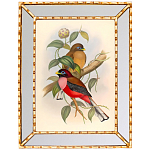 Постер с изображением птиц и цветов в зеркальной раме Blooming Birds Poster варинант исполнения - 7 | Loft Concept в Тюмени