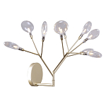 Бра в виде ветвей с прозрачными круглыми плафонами Moooi варинант исполнения - 1 | Loft Concept в Тюмени