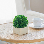 Декоративный искусственное растение Square boxwood варинант исполнения - 6 | Loft Concept в Тюмени