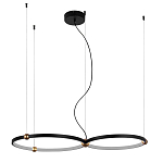 Люстра подвесная светодиодная черный металл Ring Horizontal варинант исполнения - 9 | Loft Concept в Тюмени