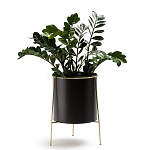 Кашпо из металла и латуни Elegance Elevated Planters черное варинант исполнения - 3 | Loft Concept в Тюмени