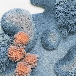 Тканый вручную Большой абстрактный гобелен Frost Forest варинант исполнения - 1 | Loft Concept в Тюмени