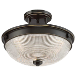 Потолочный светильник со стеклянным плафоном в виде купола Quoizel варинант исполнения - 8 | Loft Concept в Тюмени