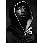 Подарочная книга величайший фотограф Альберт Уотсон The Vienna album Albert Watson варинант исполнения - 2 | Loft Concept в Тюмени