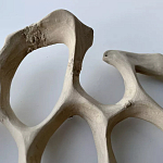 Блюдо «Бежевый коралл» варинант исполнения - 3 | Loft Concept в Тюмени