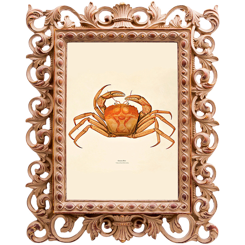 Постер Ocher Crab Poster Бежевый Оранжевый в Тюмени | Loft Concept 