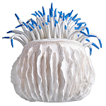 Статуэтка тропический фрукт Tropical Fruit White Blue варинант исполнения - 3 | Loft Concept в Тюмени