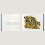 Лимитированная подарочная книга HERMES Fierce and Fragile book, English version варинант исполнения - 3 | Loft Concept в Тюмени