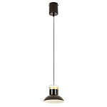 Подвесной светильник Celevis Black варинант исполнения - 2 | Loft Concept в Тюмени